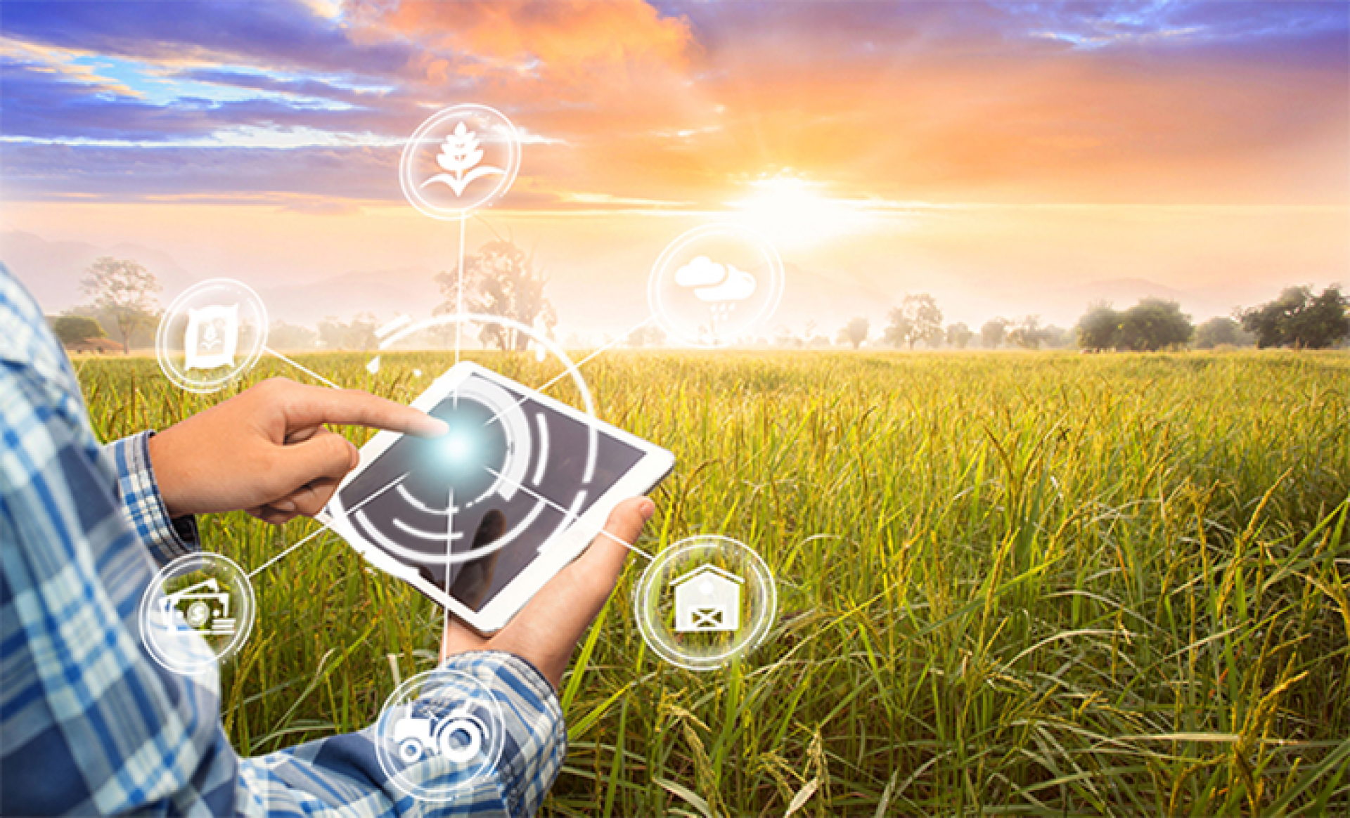 Tržní odhad cen nemovitostí